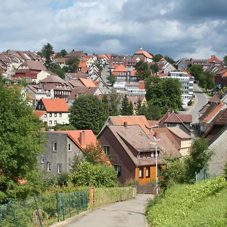 Ferienwohnung Wiesenblick Mit Terrasse Im Landhaus Fischer 상트안드레스베르크 외부 사진